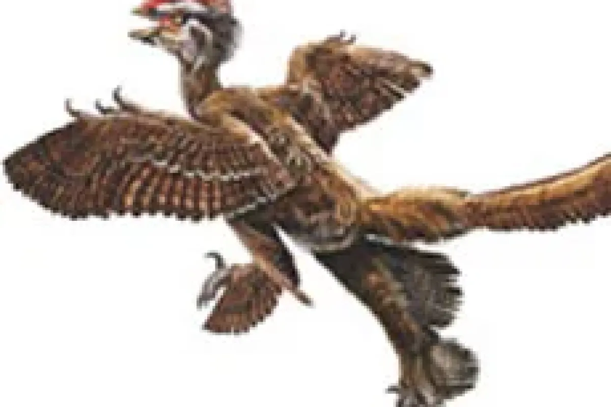Dört kanatlı dinozor bulundu!