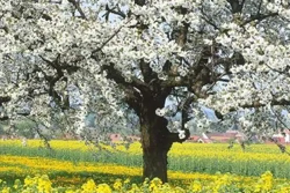 Yaşadığınız ortamları havalandırın