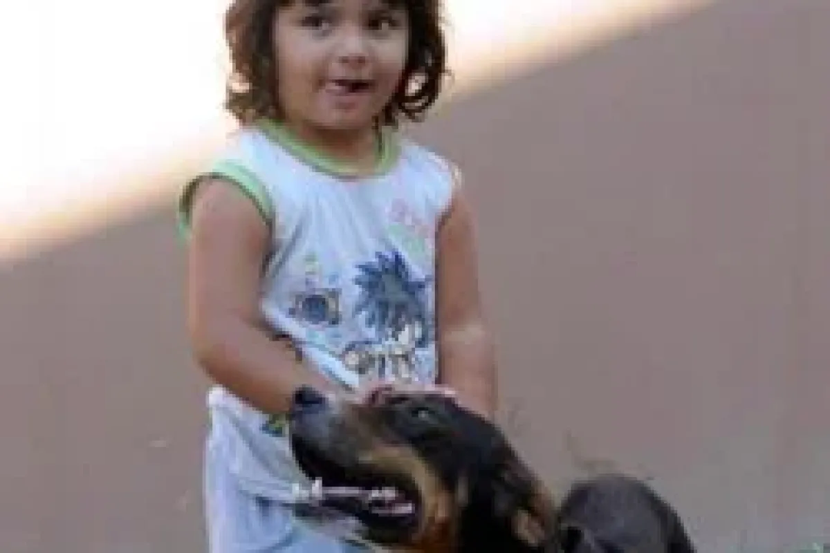 Kaçırılan çocuğu köpeği kurtardı