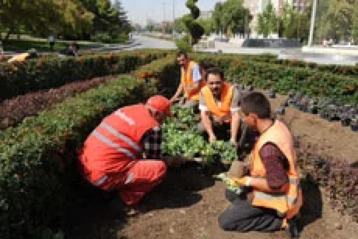 Ankara kışın da çiçek açacak