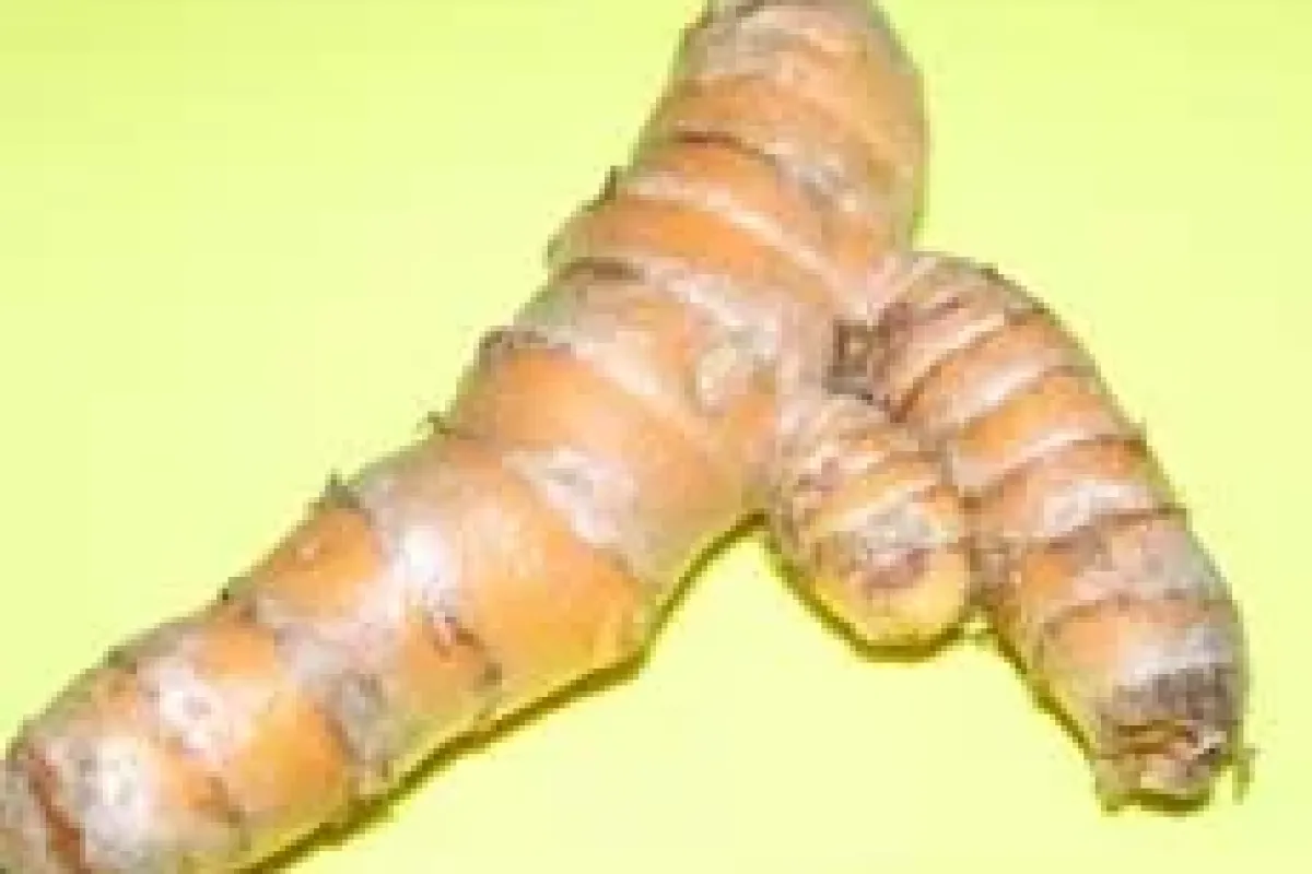 Kanser hücrelerini 24 saatte öldüren baharat!