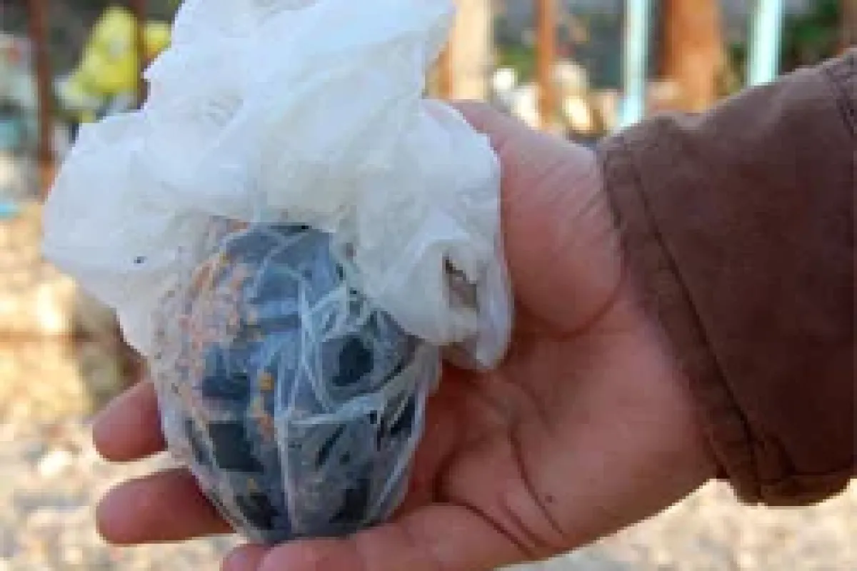 Baraj gölünden 14 el bombası çıktı