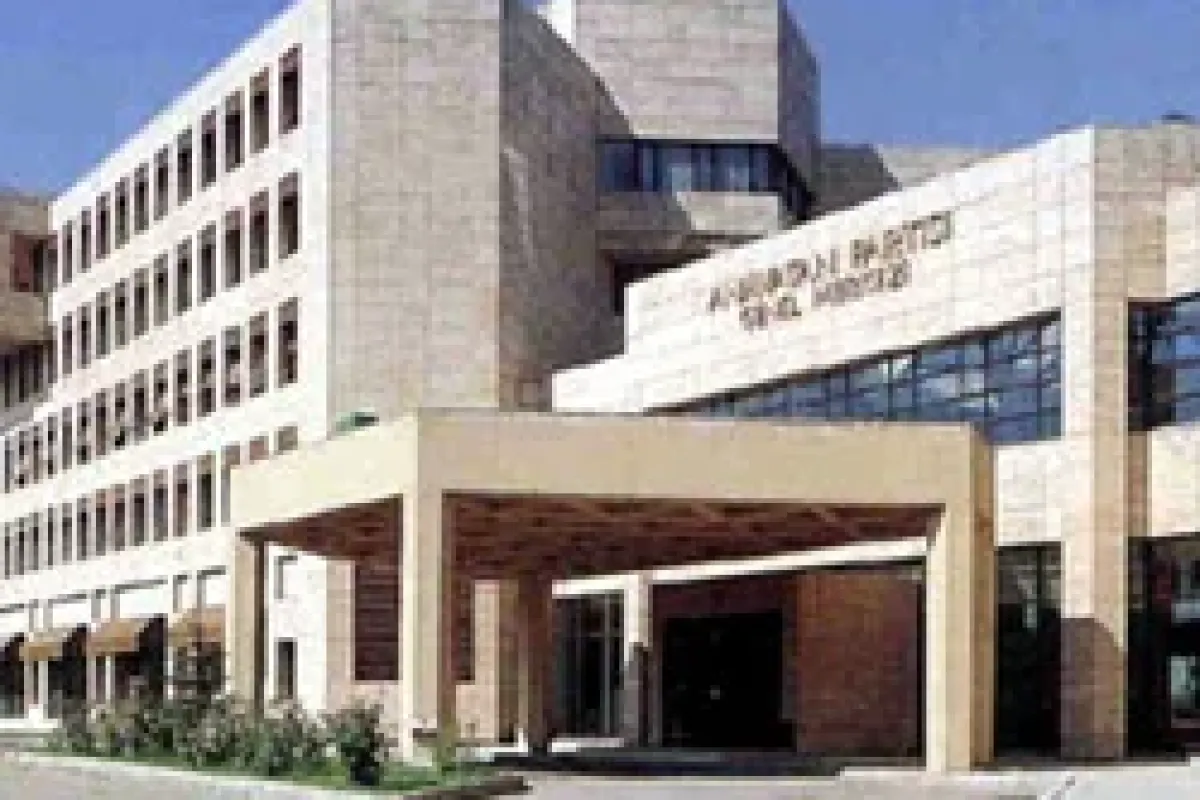 At gibi koşup arı gibi sokacağız