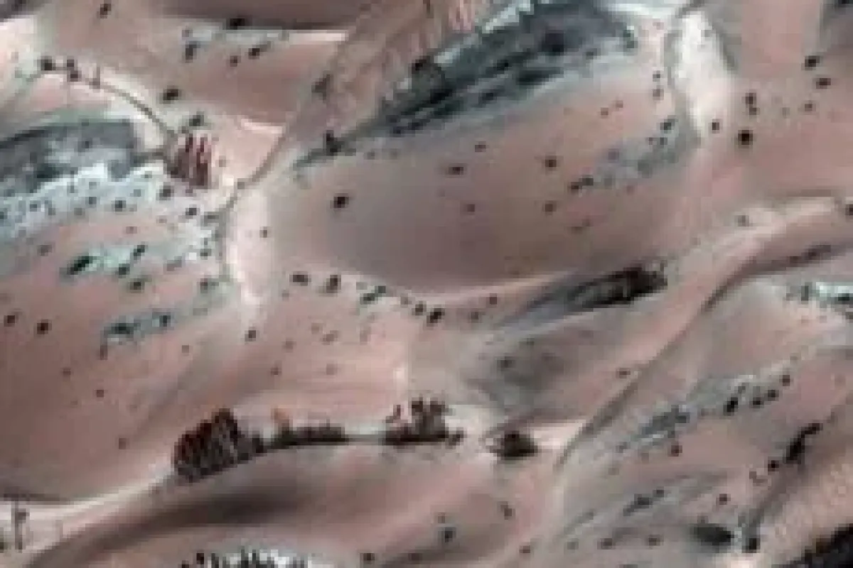 Mars fotoğraflarındaki ağacın sırrı