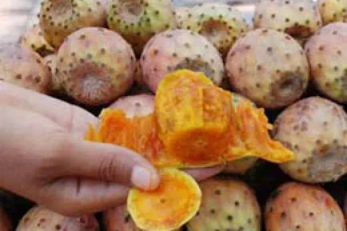 Cübbeli ile Baykal neler konuştu?
