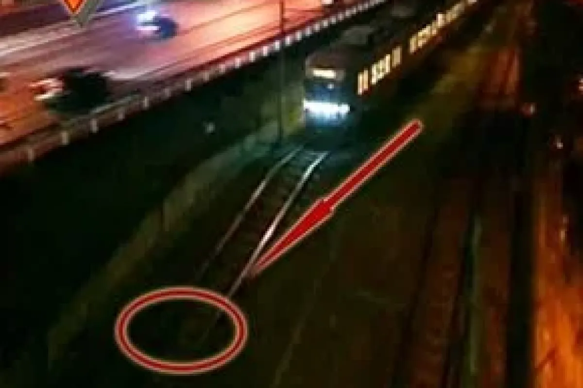 Böyle çılgınlık görmediniz!