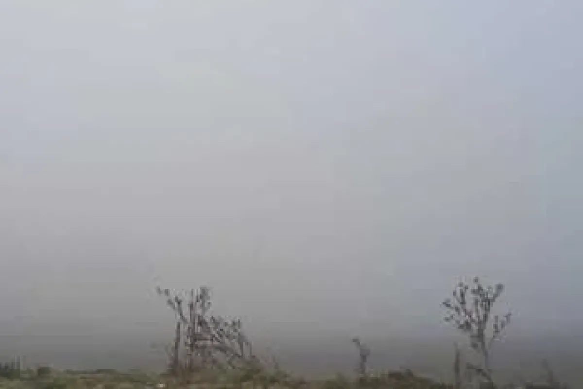Kabus Geri Döndü