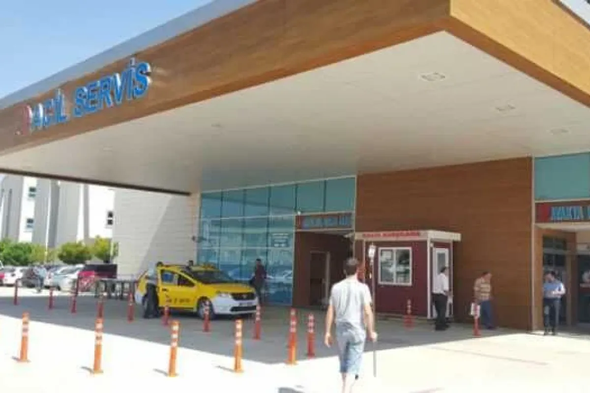 Ağaçtan düşen adam hayatını kaybetti