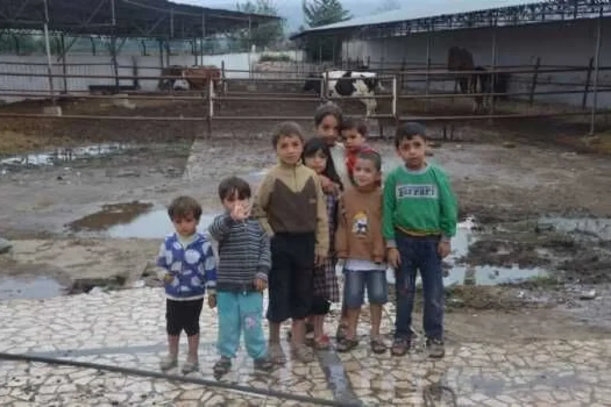 Yokluk İçinde Ahırda Kalıyorlar