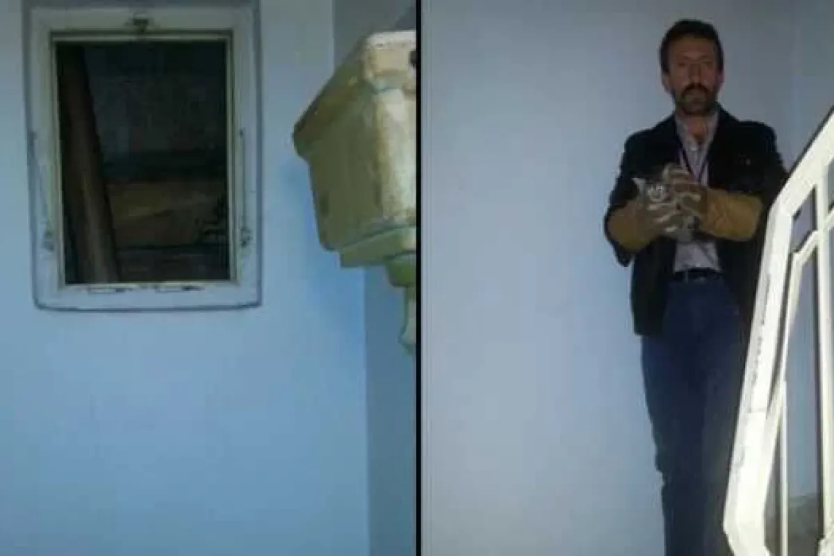 Kedi için seferber oldular