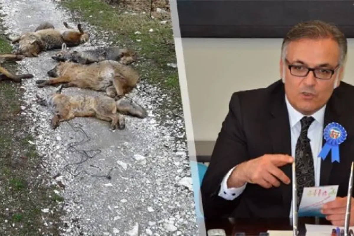 Kaymakam Ali Akça Ateş Püskürdü!