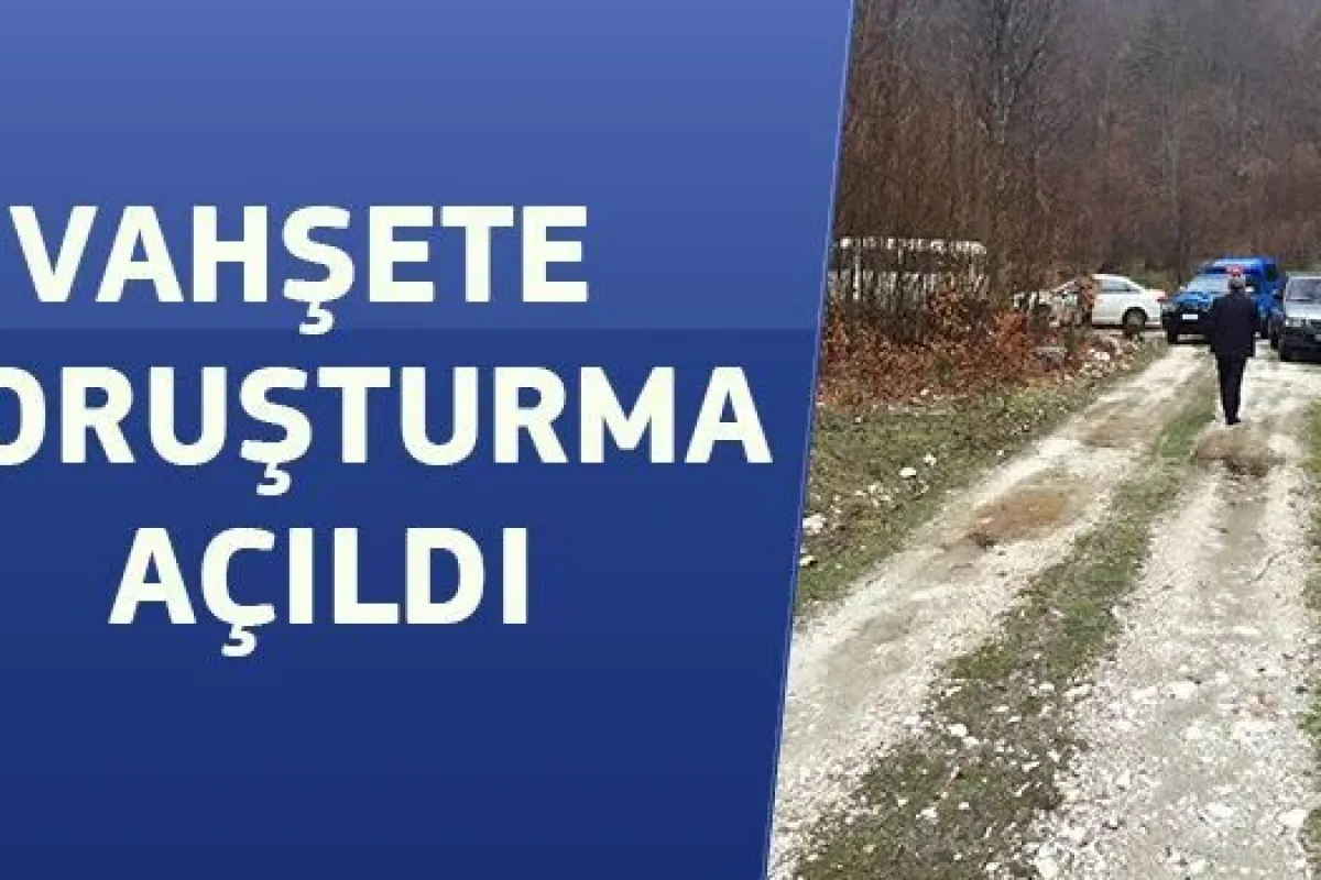 Hayvan Ölümlerine Soruşturma Başlatıldı