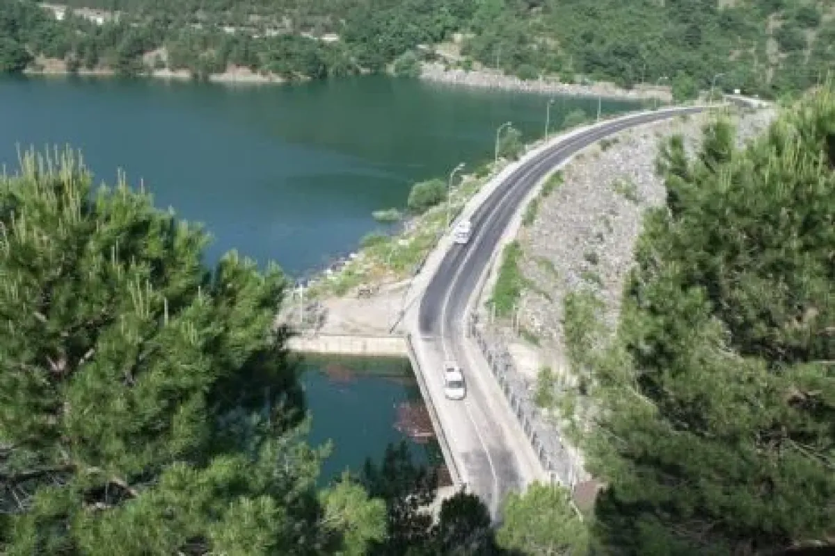 Bursada şok! Ormanlık alanda 2 ceset bulundu!