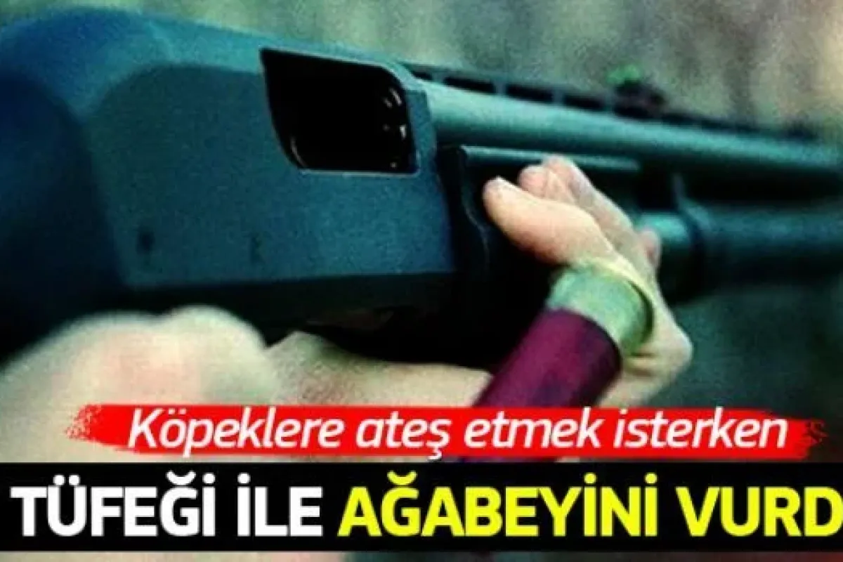 Köpeklere ateş ederken ağabeyini vurdu!