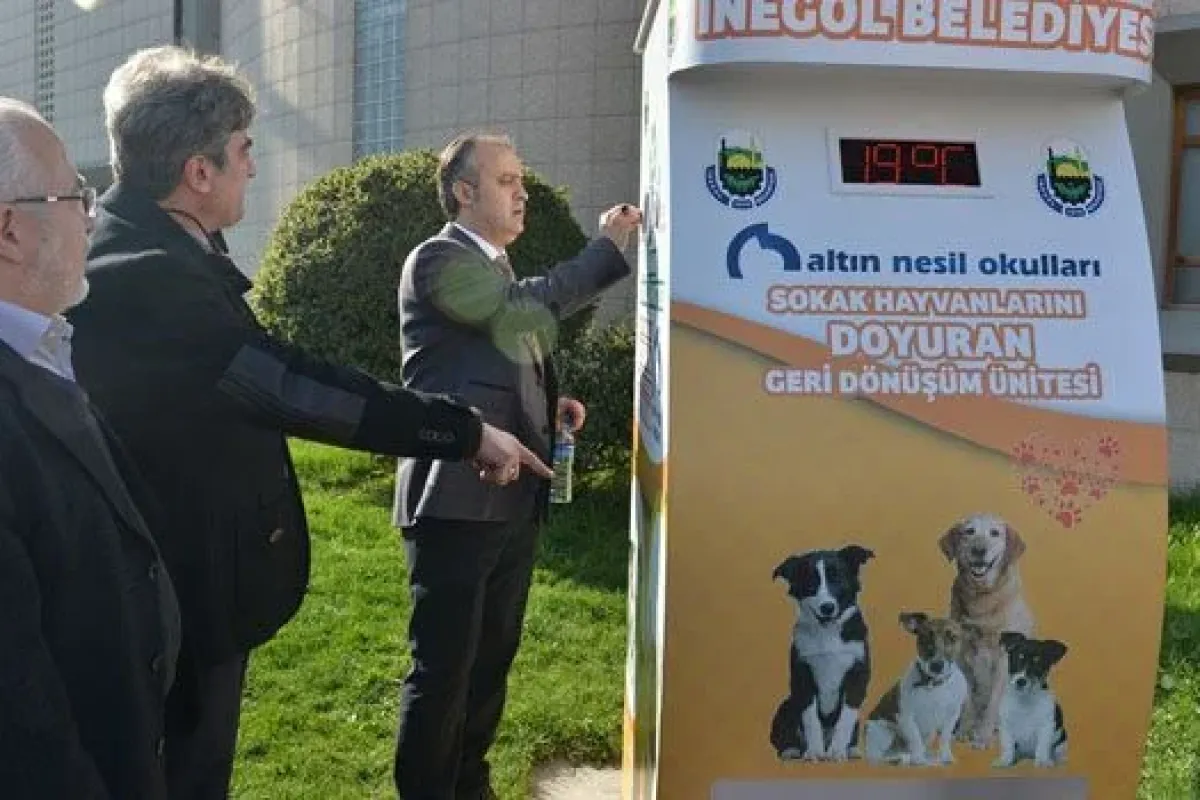 Belediyeden Sokak Hayvanlarına Özel Proje