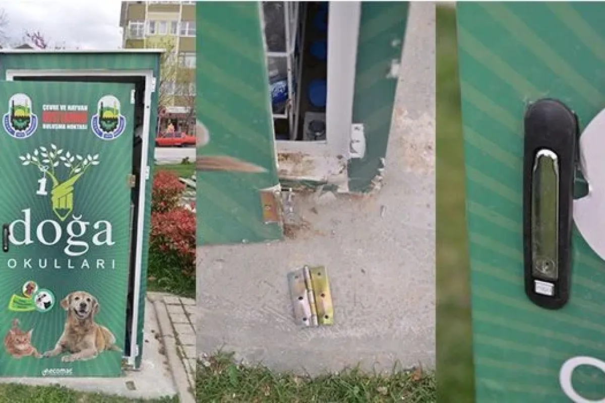 Mamamatikten Hayvanların Mamalarını Çaldılar
