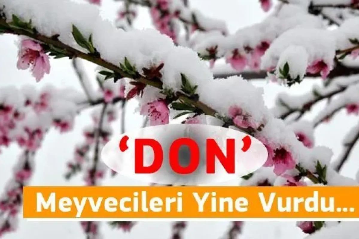 Soğuk Havalar Meyvecileri Vurdu