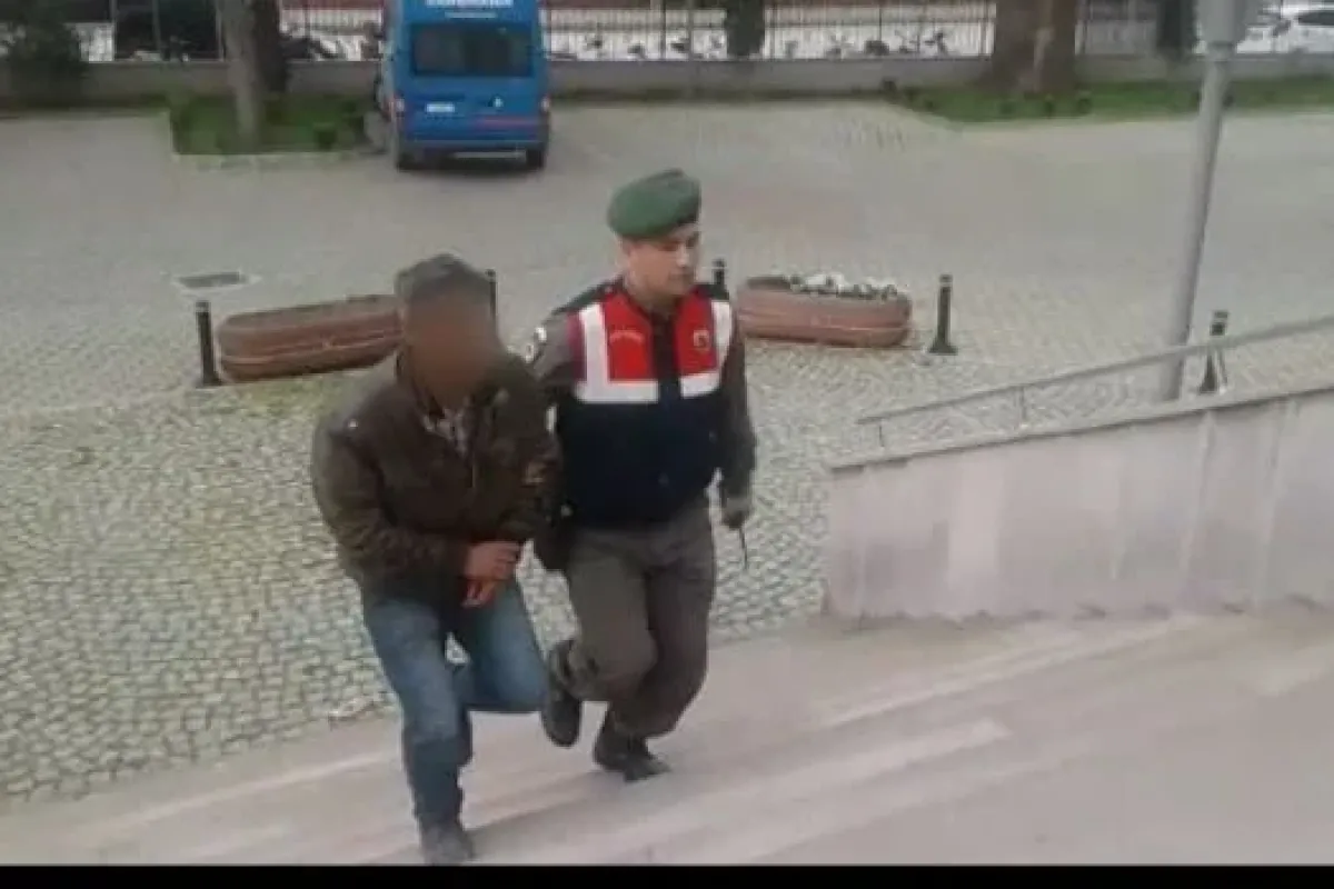 İnegölde Jandarmadan Fidan Hırsızlarına Operasyon