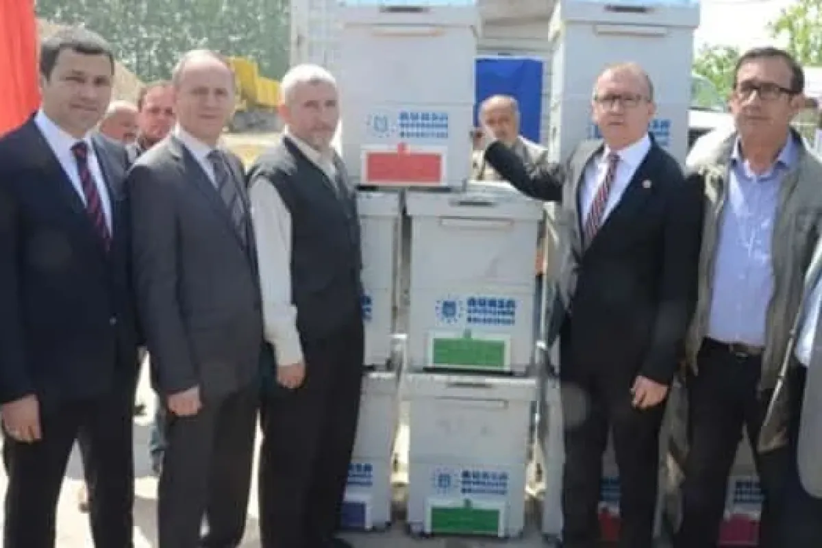 Büyükşehirden Arıcılara 240 Kovan