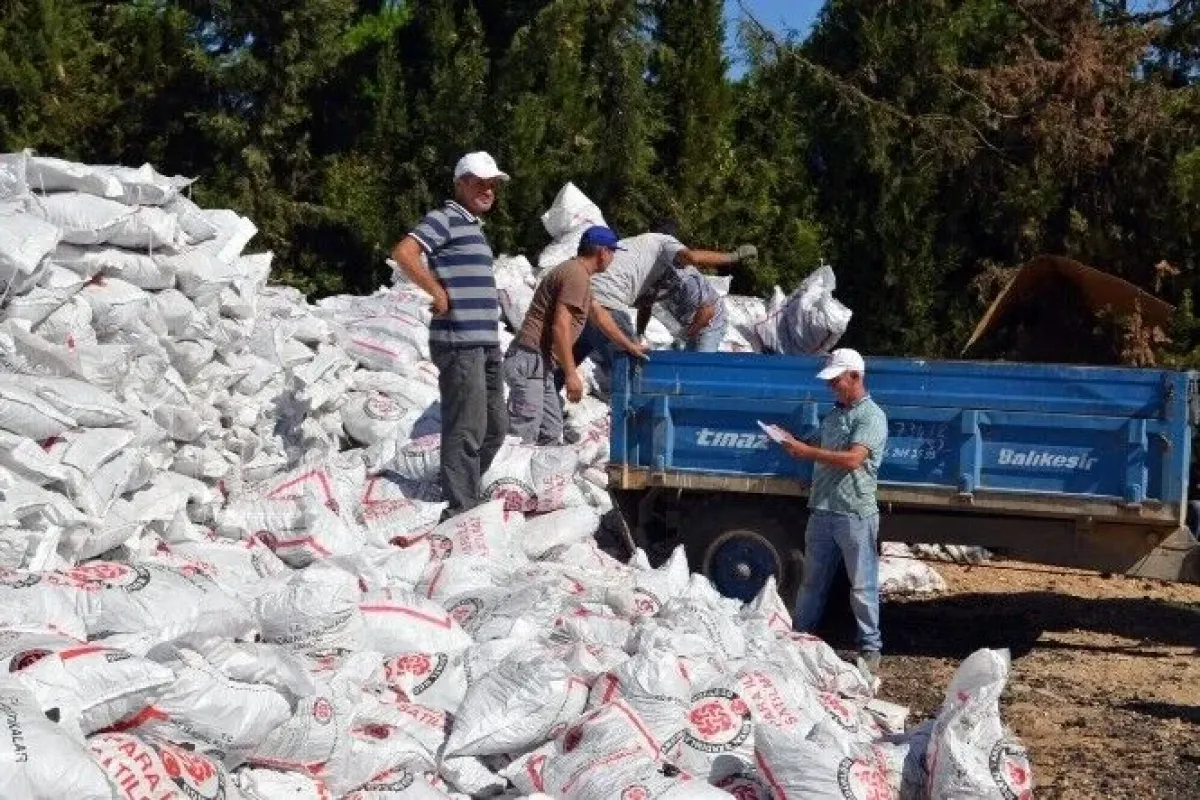 Kömür dağıtımları başladı