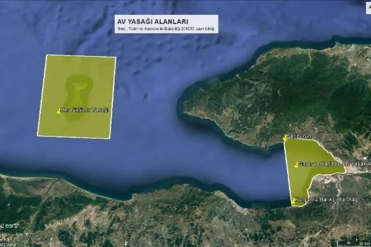 Gemlik körfezinde 4 yıllık av yasağı
