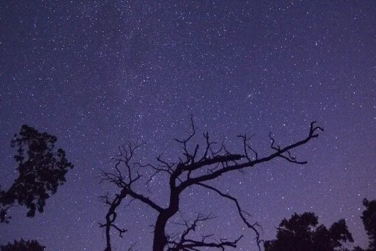 Meteor yağmuru böyle görüntülendi