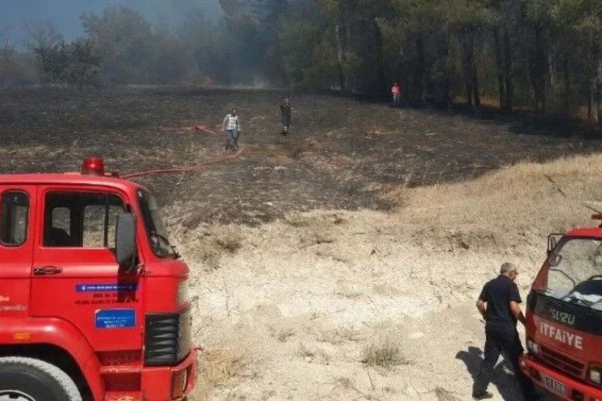 Çakmakla oynayan çocuklar az kalsın ormanı yakıyordu
