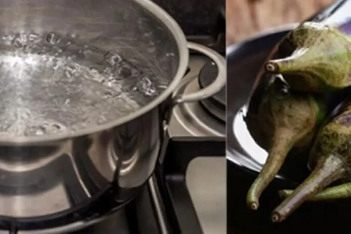 Patlıcan sapını suda kaynatırsanız...