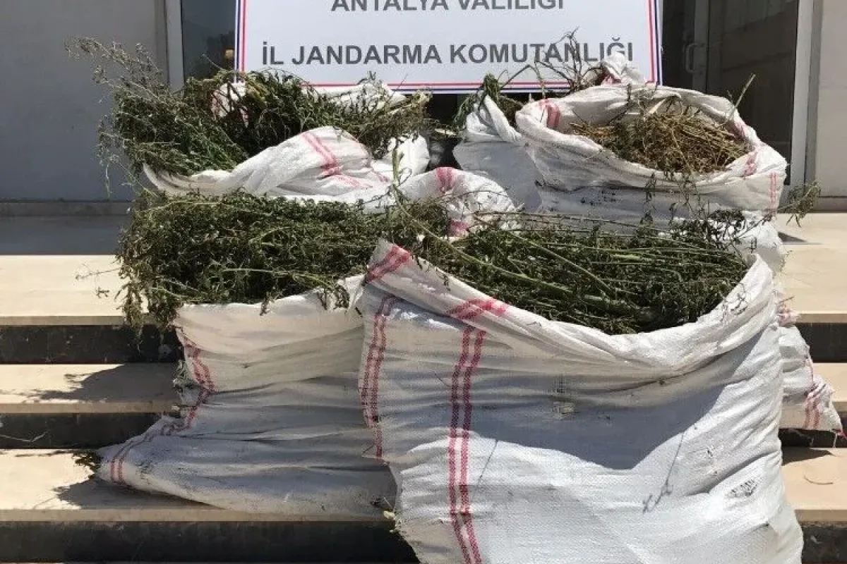 Antalyada uyuşturucu operasyonu