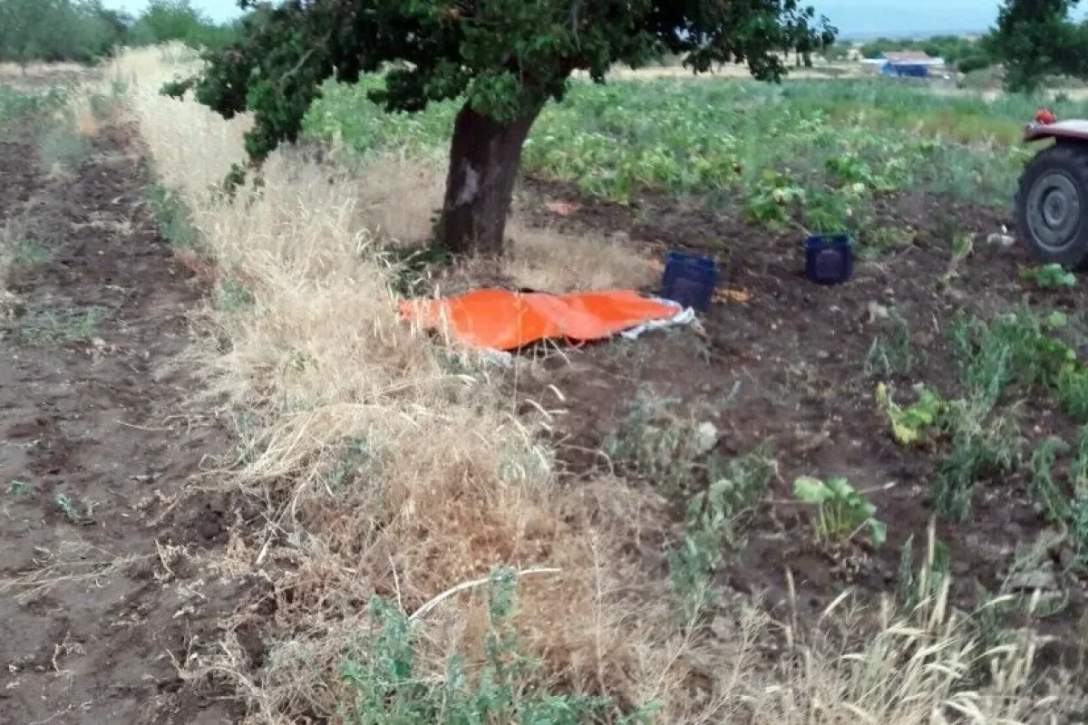 Üzerine yıldırım düşen yaşlı kadın öldü