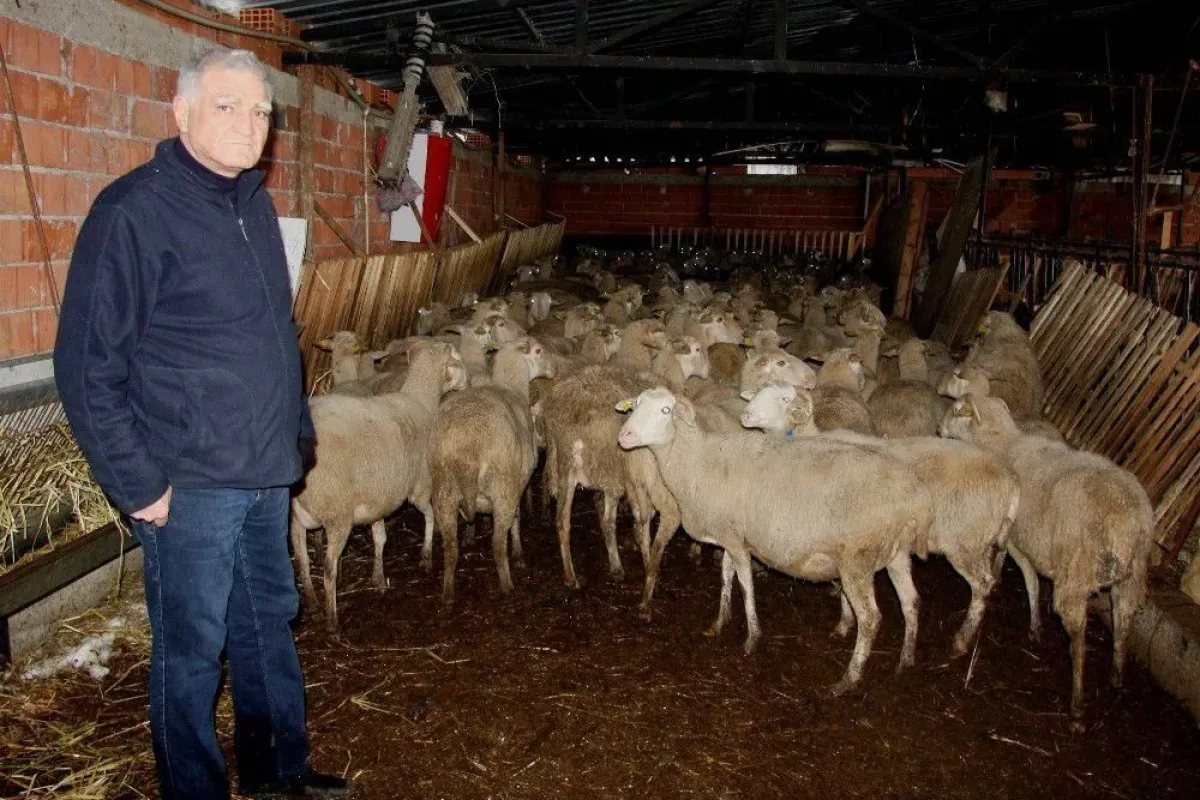 "300 koyun projesi cumhuriyet tarihi boyunca düşünülmüş en muhteşem projedir"