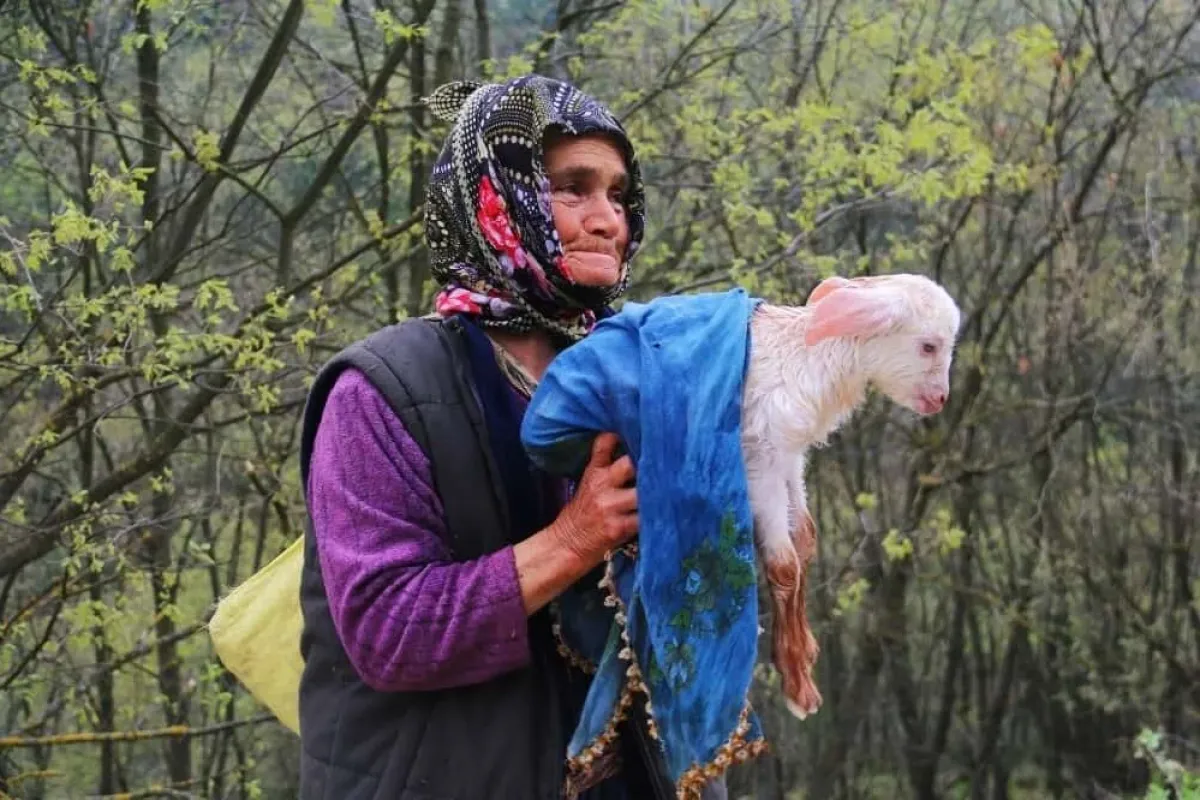 Mutluluğun fotoğrafı