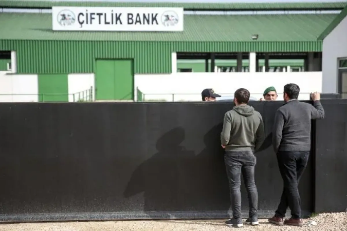 Çiftlikteki tüm tavuklar itlaf edildi