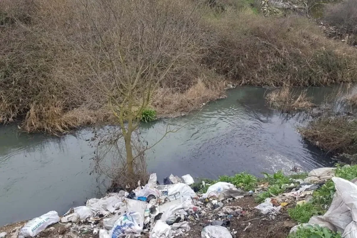 Karsaktan körfeze pislik akıyor