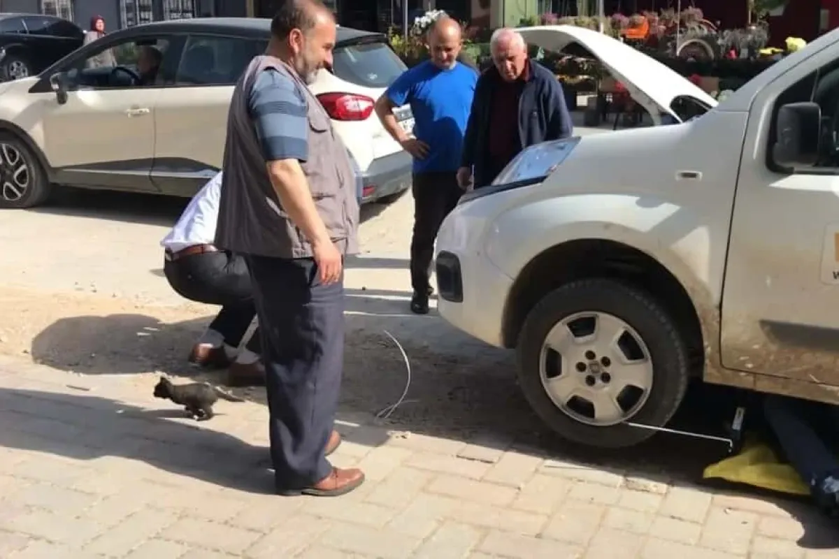 Motora sıkışan yavru kediyi PTT çalışanları kurtardı