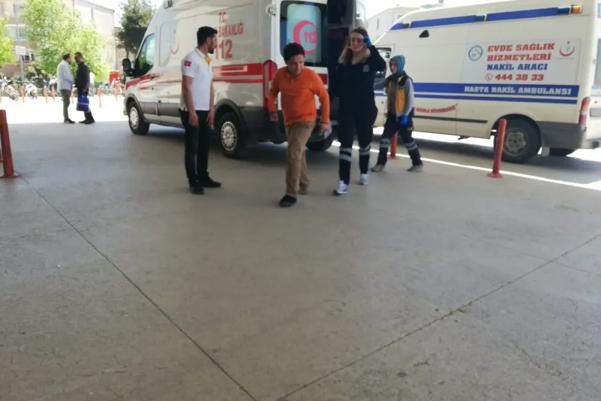 Başı boş köpeklerinin saldırısına uğradı