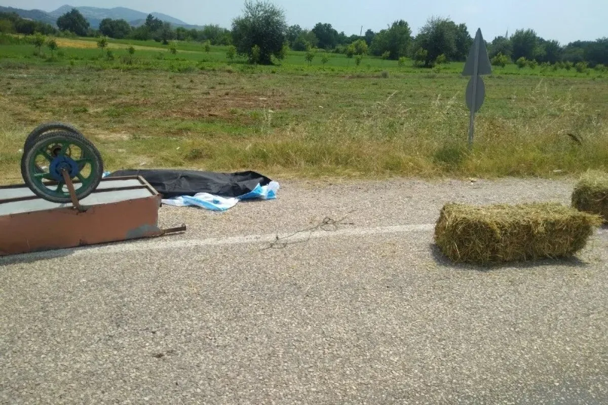 Otoyolda el arabasıyla saman taşırken canından oldu