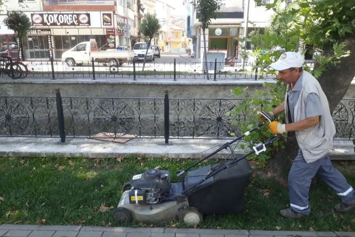 Gemlikte peyzaj çalışmaları ve haşereyle mücadele
