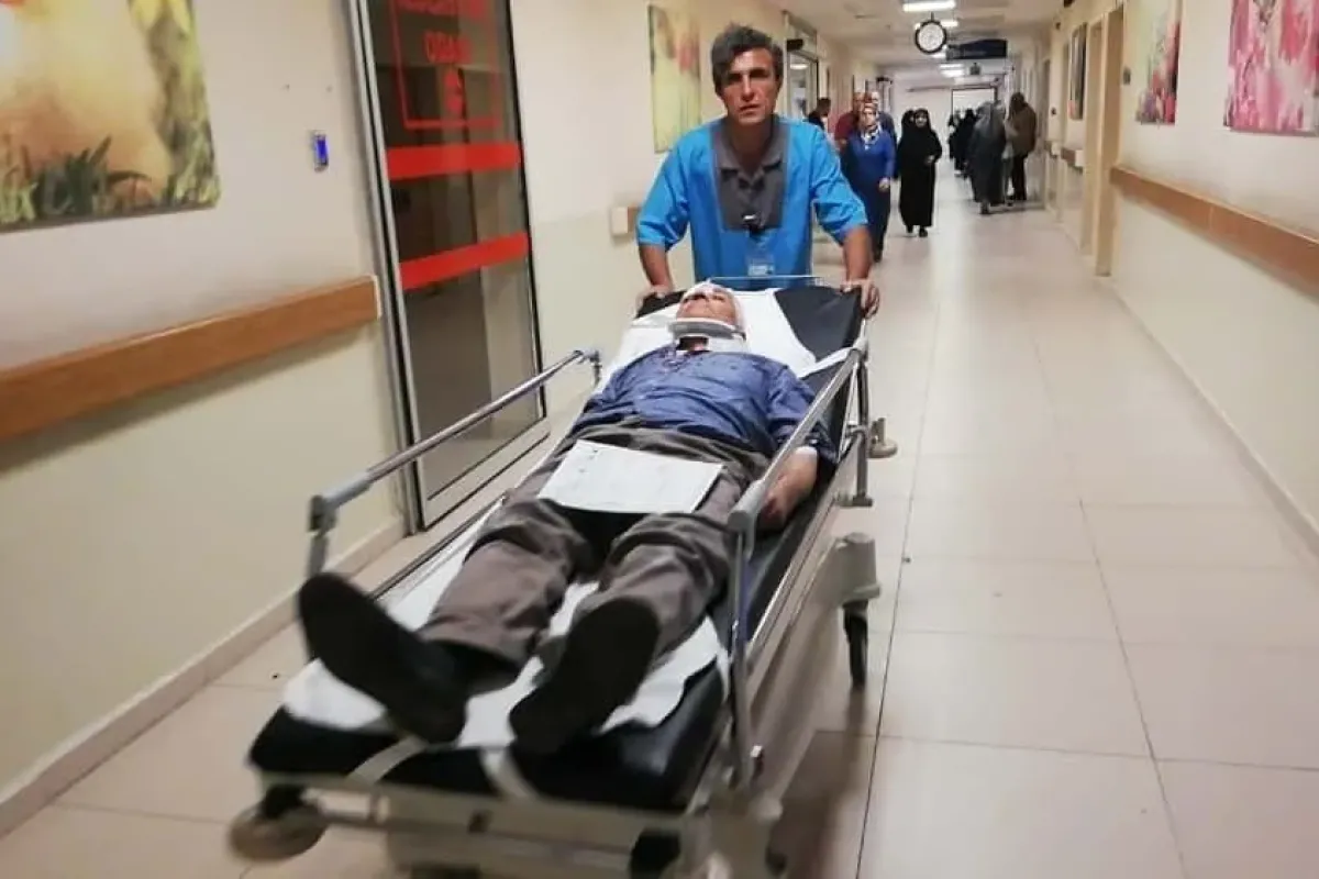Meyve bahçesinde daldı: 3 yaralı