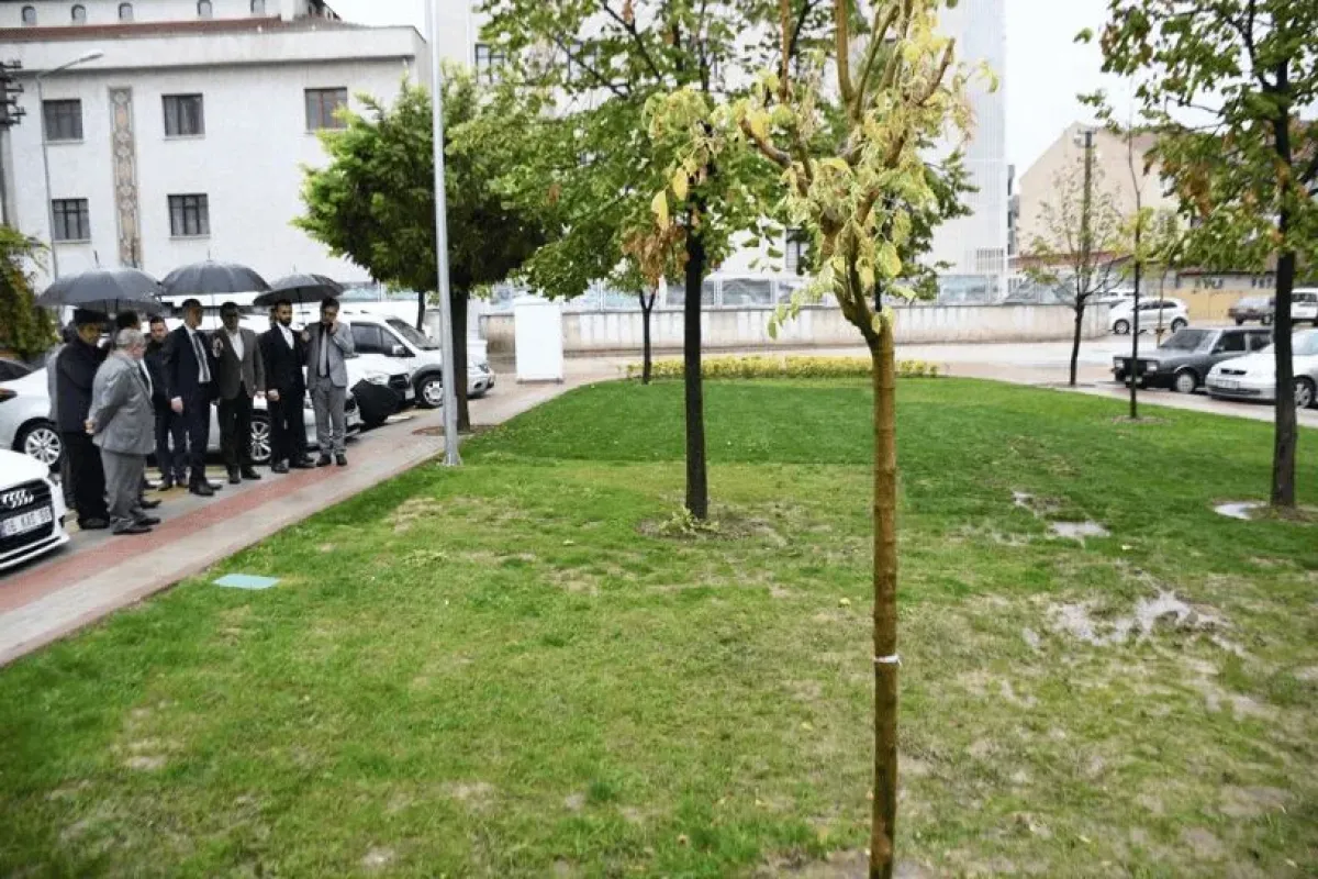 Hamidiye Mahallesinde Yeşil Alan Ve Otopark Alanı