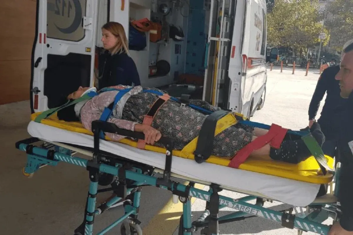 Armut ağacından düştü hastanelik oldu