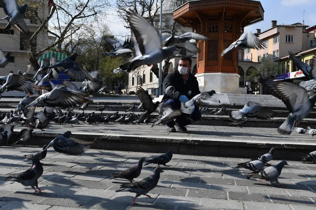 Pandemide can dostlar unutulmadı