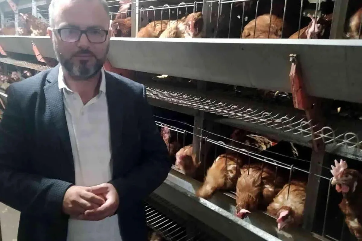 Yumurta üreticileri tedbir alınmazsa batacak