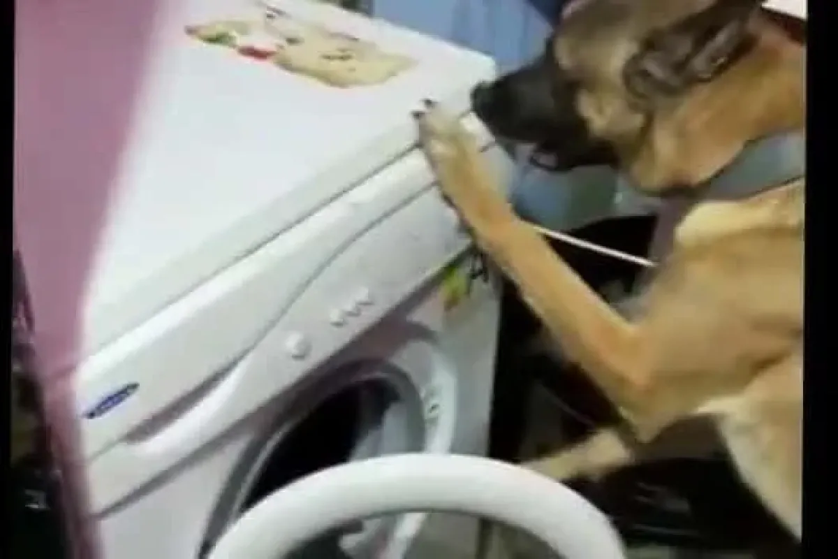 İnegölde 100 bin kişiyi zehirleyecekti, polis yakaladı