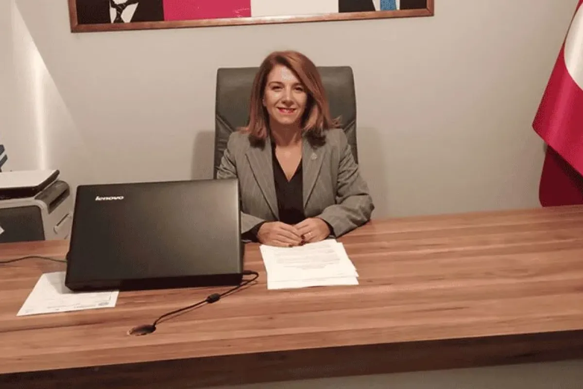 Yasemin Soydandan hükümet konağı eleştirisi