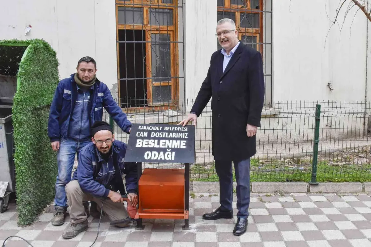 Karacabeyde sokak hayvanları sahipsiz değil