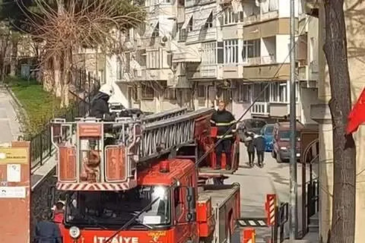 Bursada ağaçta asılı kalan kuşu itfaiye ekipleri kurtardı