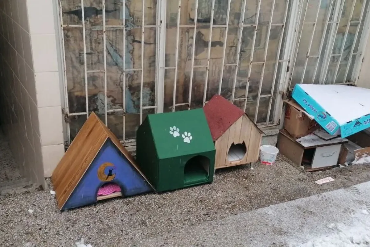 Öğrencilerden 'mutlu patiler' projesi