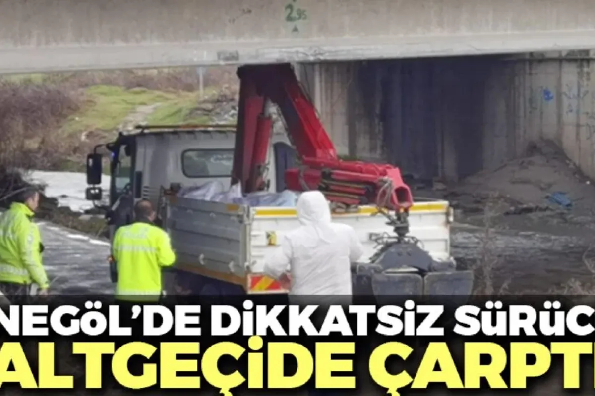 Dikkatsiz sürücü altgeçide çarptı