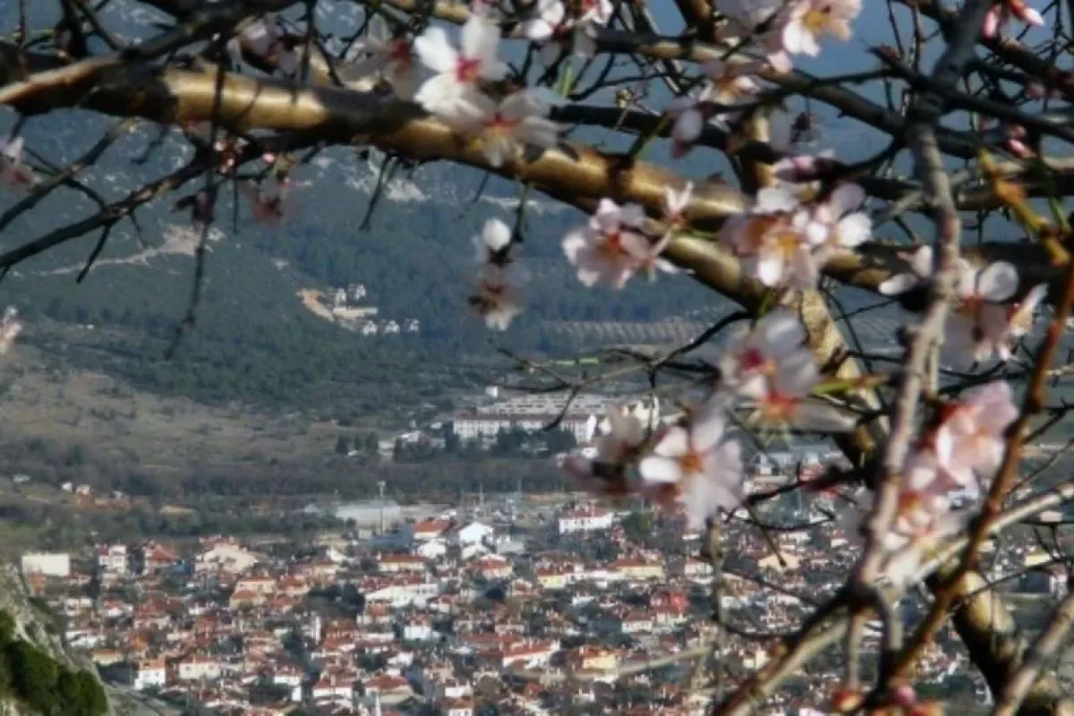 İnegöl'e bahar geliyor!